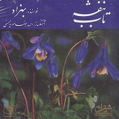 زهی عشق از بهزاد